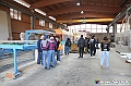 VBS_8993 - Gallo Legnami - San Damiano d'Asti - Visita Scuola Forestale di Ormea